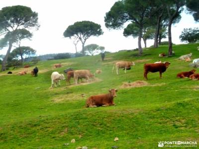 Senda del Yelmo - Cuerda de la Parada; viajes para marzo excursiones para jubilados ropa impermeable